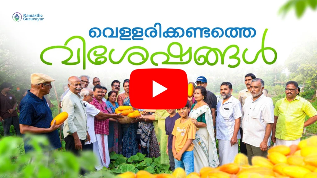 Vishu Special