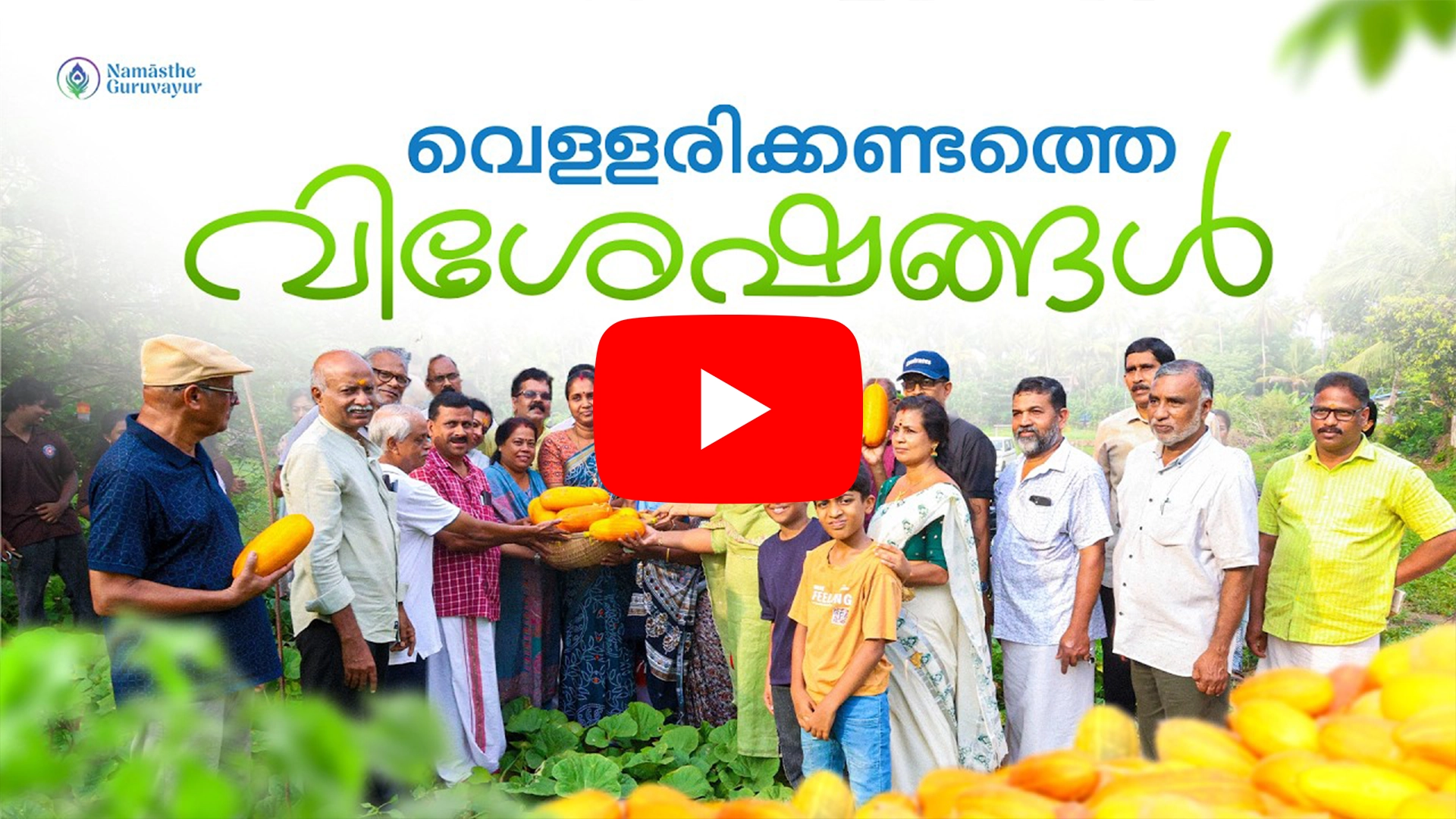 Vishu Special